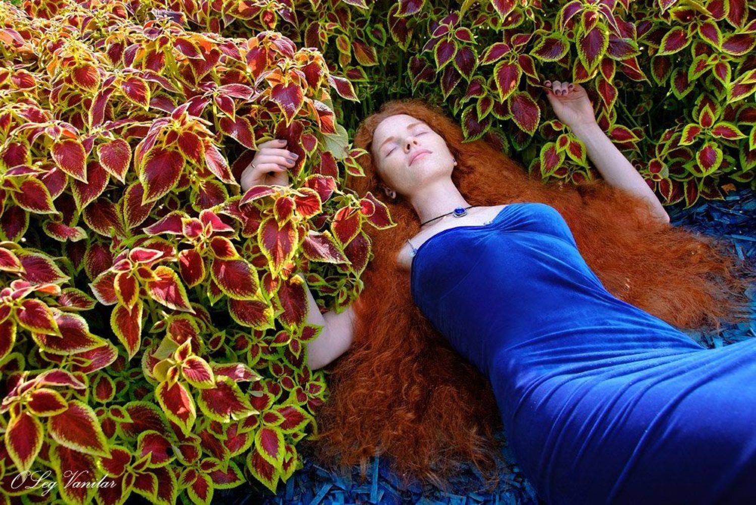 , Олег Ванилар