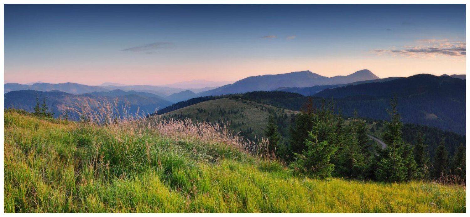 , Денис Кривой