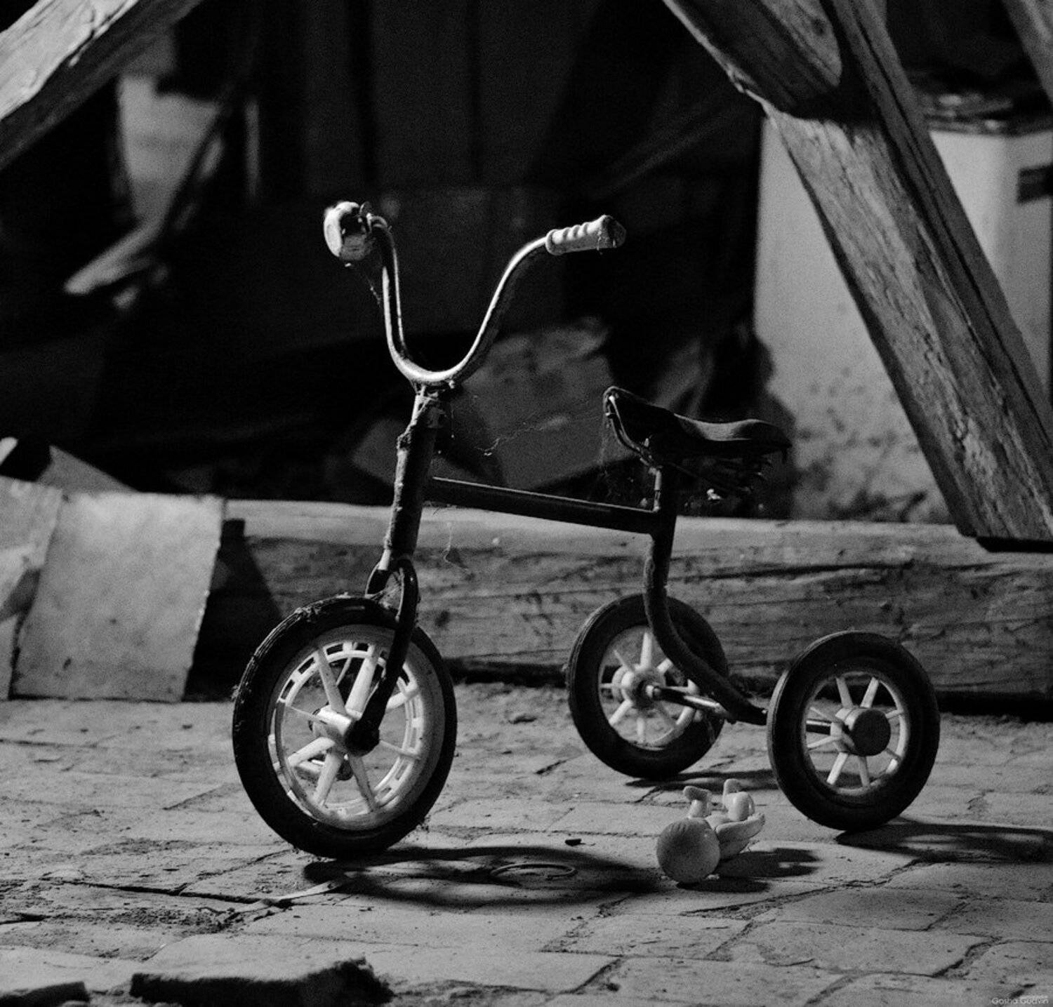 gosha, gudvin, Gosha Gudvin