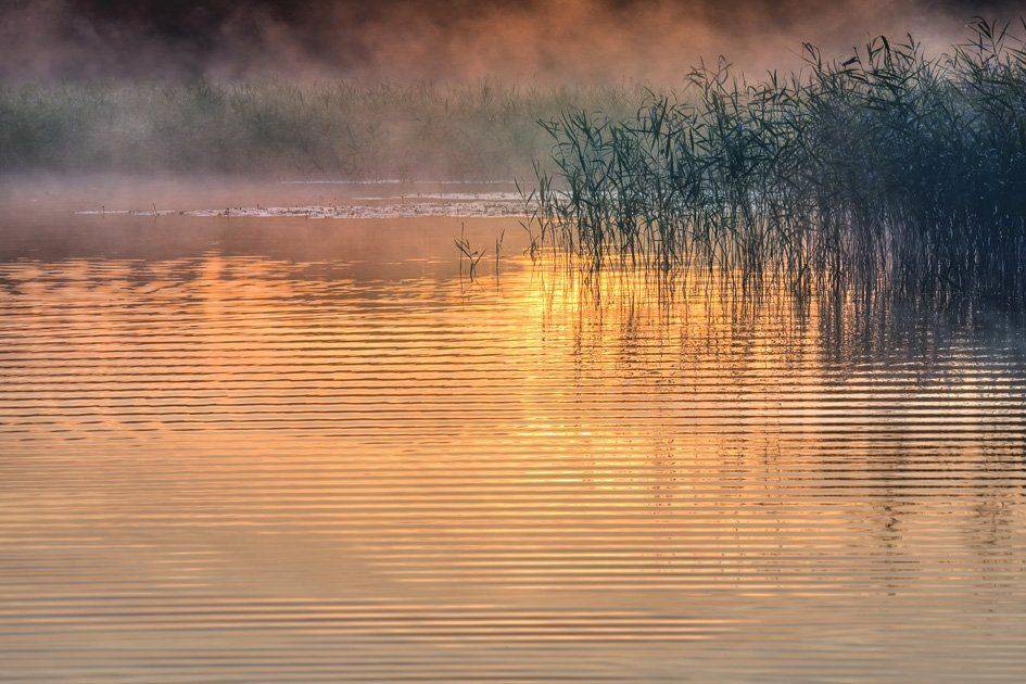 , Rimantas Bikulcius