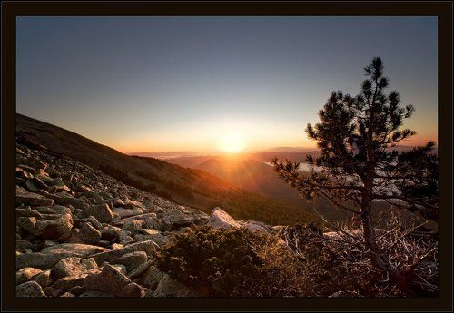 Доброе Утро!