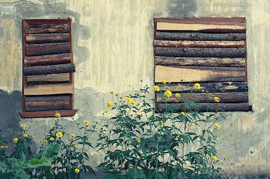 , Тимофеевский Валерий