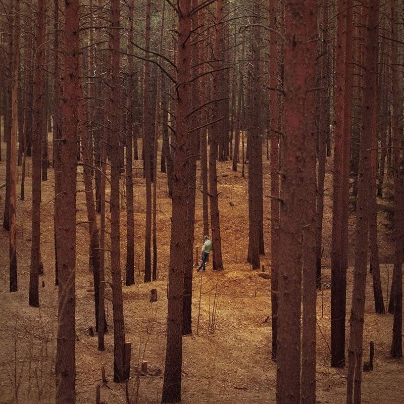 , Дмитрий Тараторкин