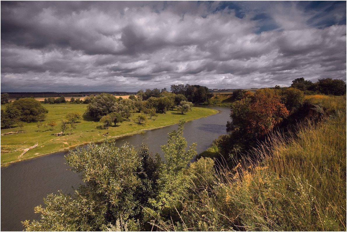 , Николай Шахманцир