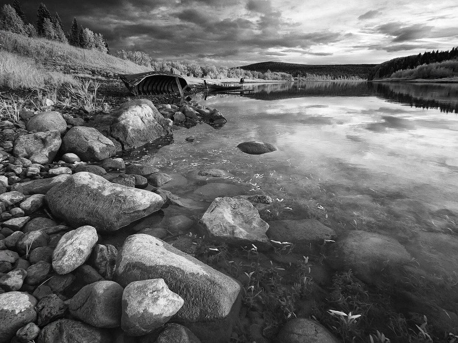 , Максим Евдокимов