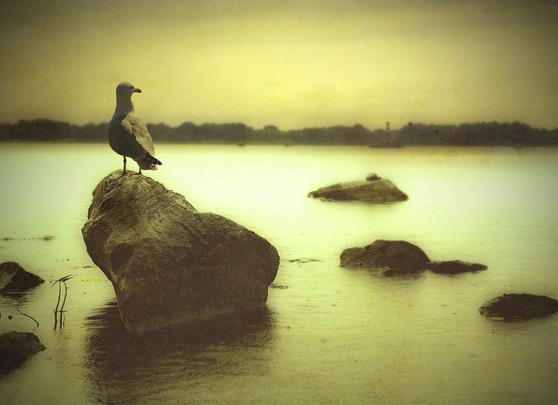 ... фото превью