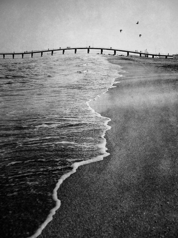 Prediction фото превью