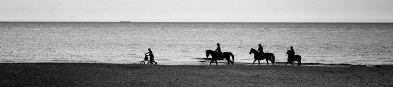 своя колея фото превью