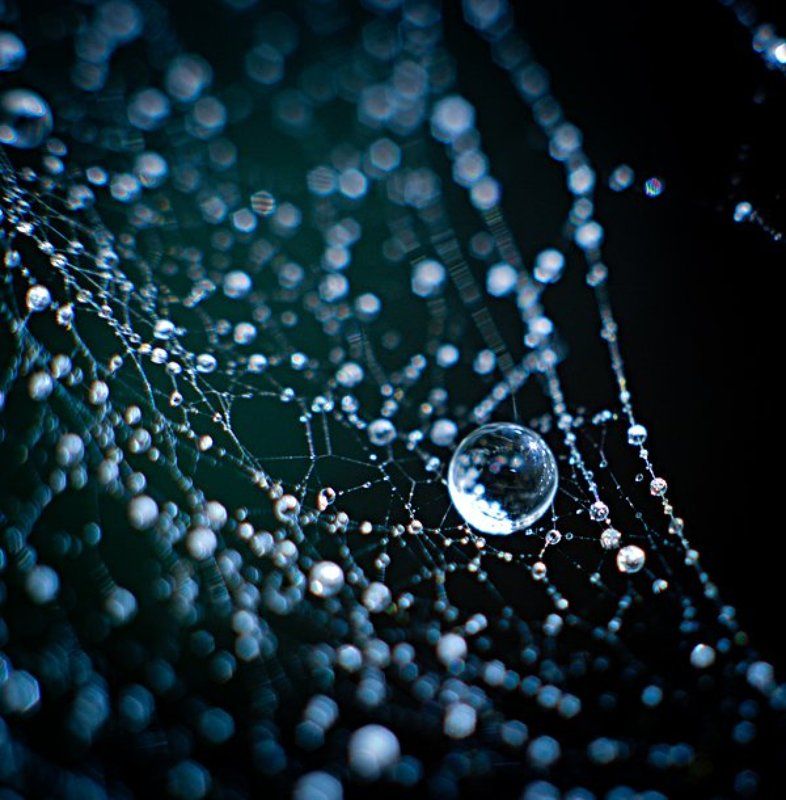 house фото превью