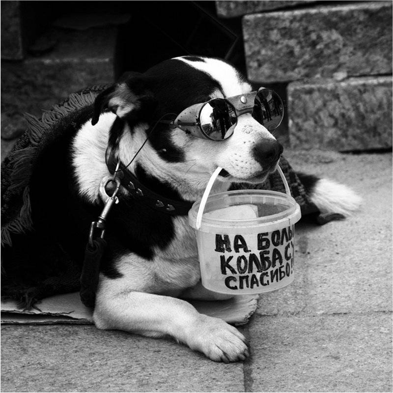 , Штабнов Юрий