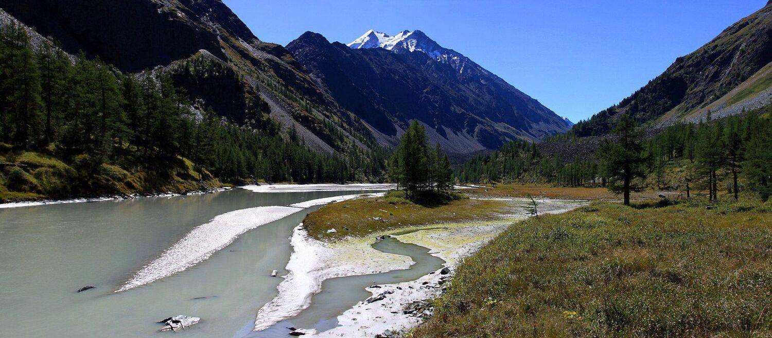 куркуре, алтай, Артем Головин