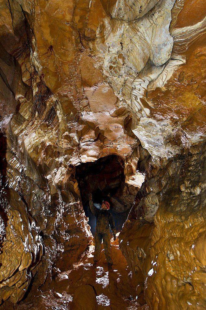 , Витя Лягушкин