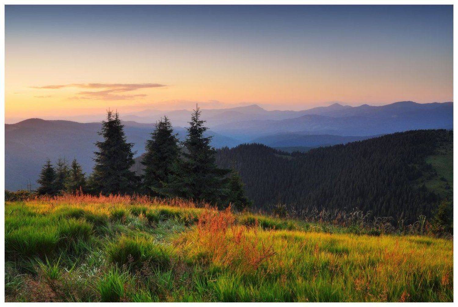 , Денис Кривой