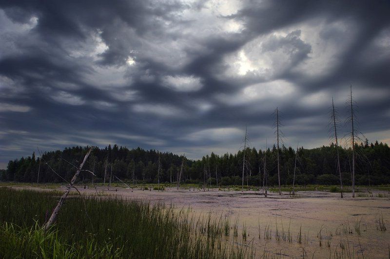 *** фото превью