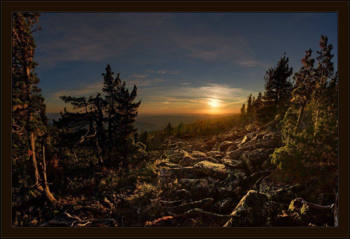 шерегеш, верблюды, шория, горы, вечер, закат, ярославский, виталий, Виталий из Н-ска