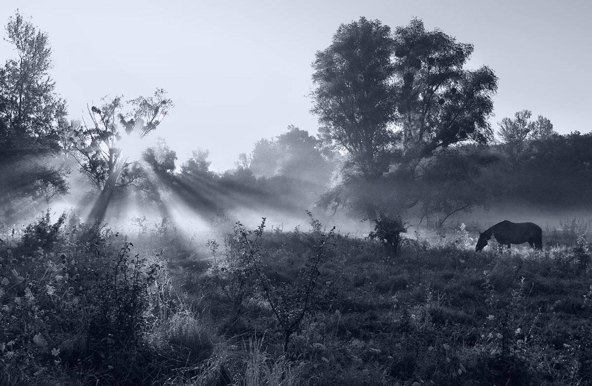 , Игорь Мелекесцев