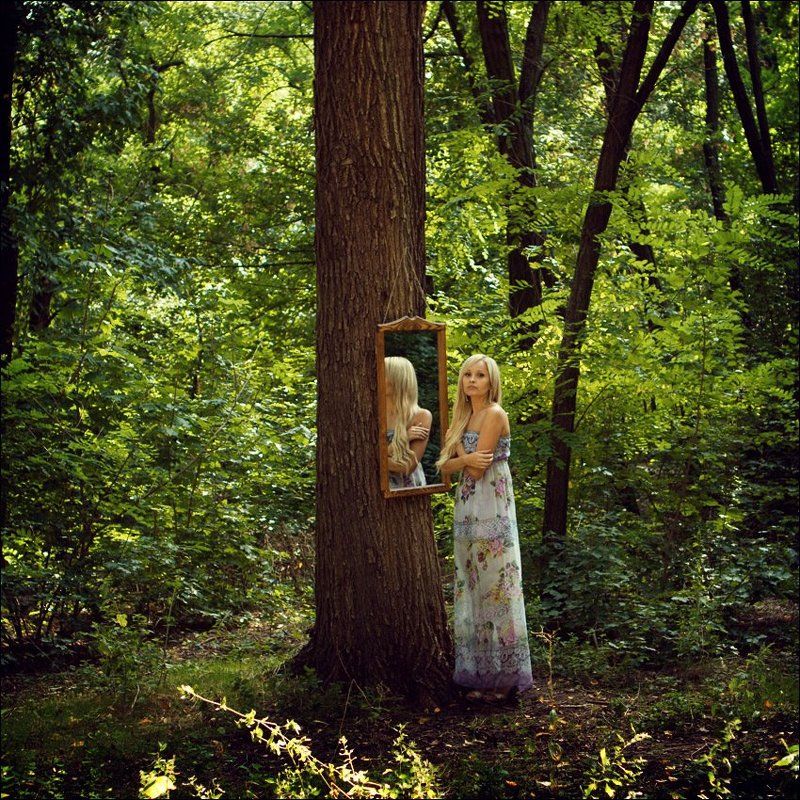 in the world of reflections фото превью