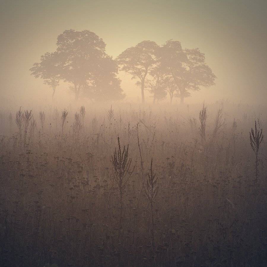 рассвет, Виталий Башкатов