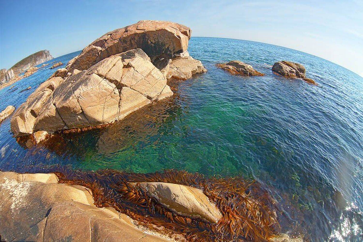 , Владимир Шуляцкий