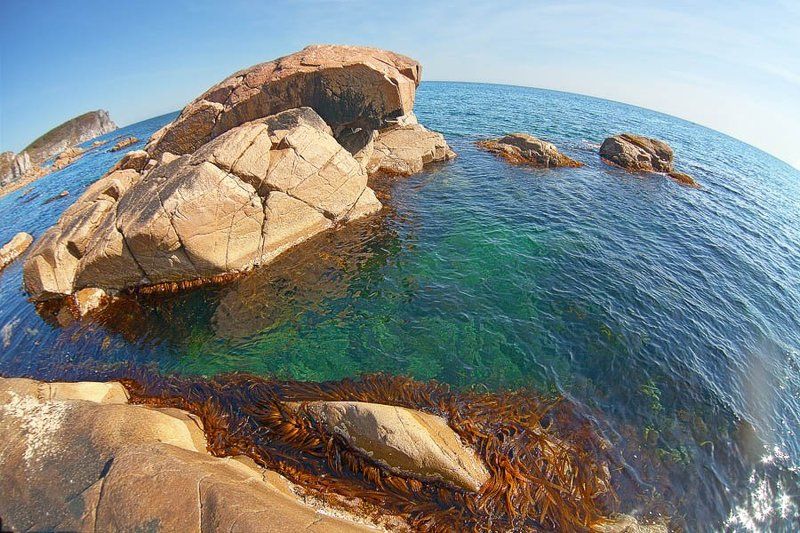 Терней фото превью