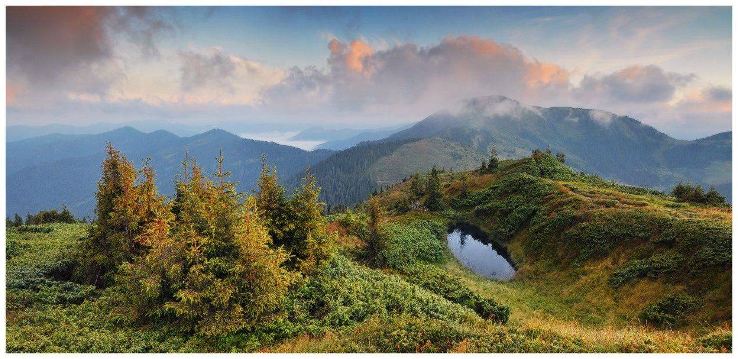 , Денис Кривой