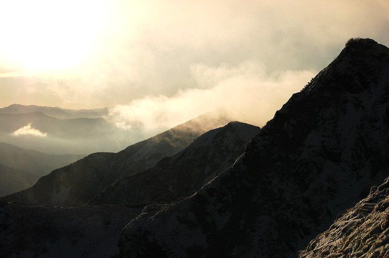пейзаж, карпати Схили гори Попа Івана Мармароського / The slopes of mount Pip Ivan of Maramuresh фото превью