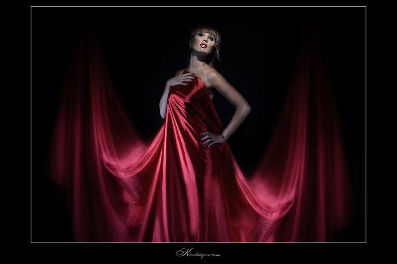 The red wings фото превью