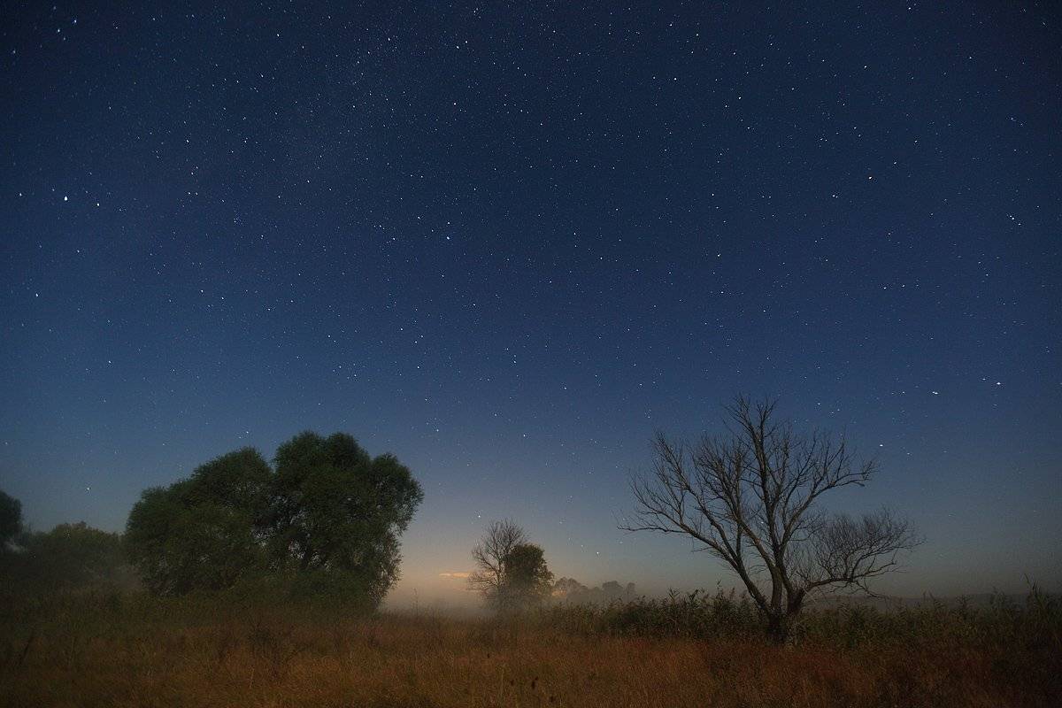 ночь, звезды, луг, Михаил Псарёв
