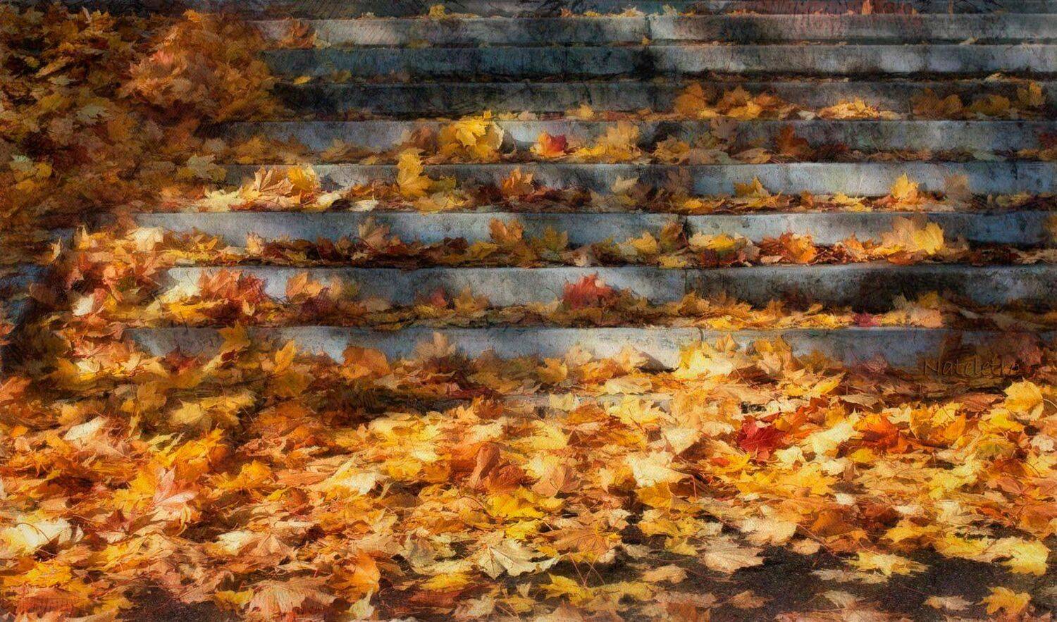 , Наталья Кузнецова (Nateletro)