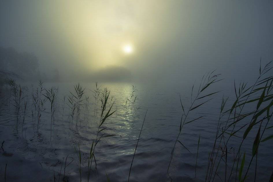 , Rimantas Bikulcius