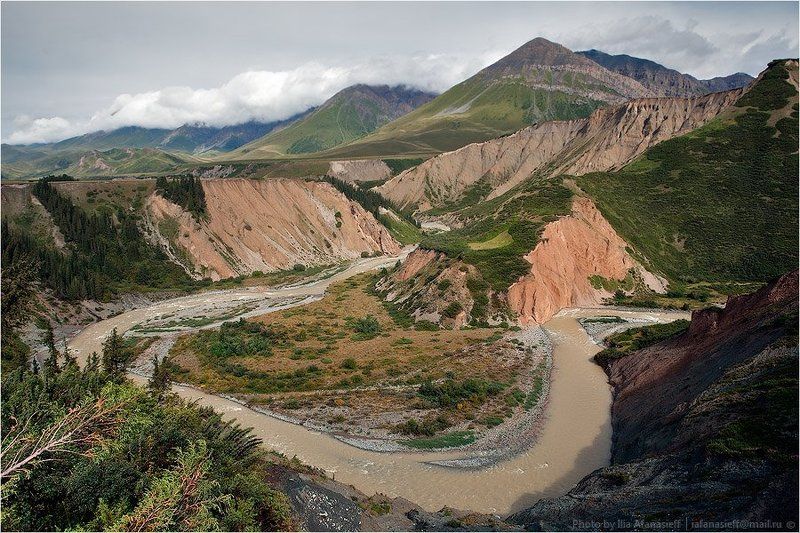 фотосафари, киргизия Киргизия в августе семь фото превью