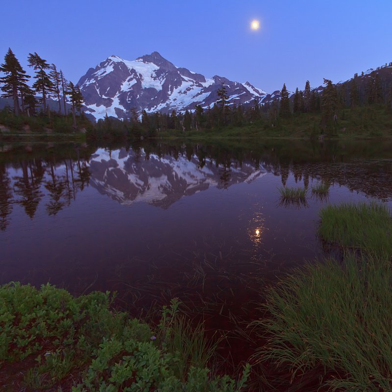 The Best Place on Earth фото превью