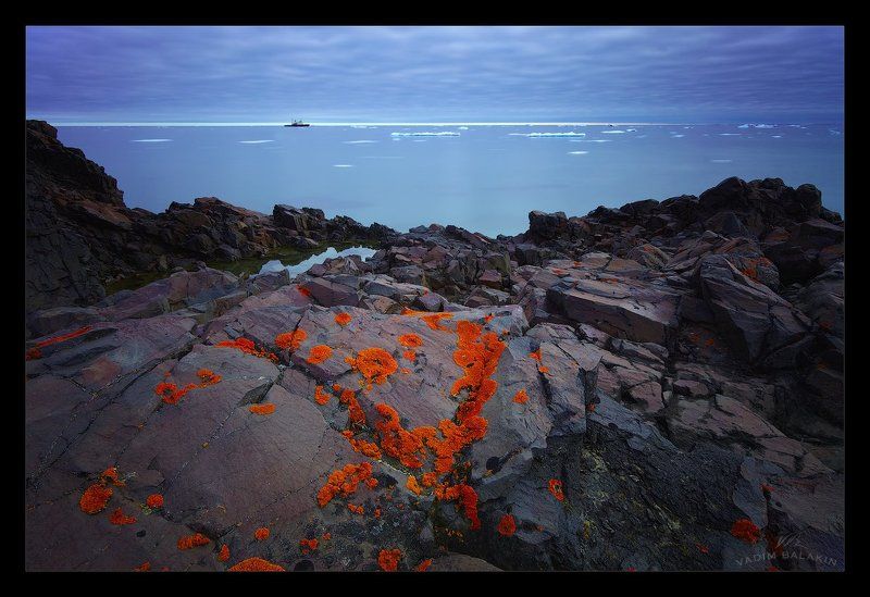 мыс тегеттхоф, остров галля, земля франца-иосифа, северный ледовитый океан Мыс Тегеттхоф фото превью