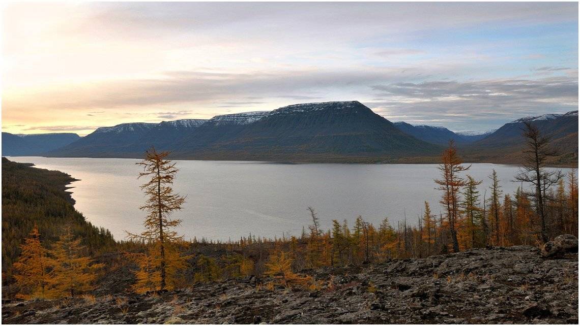 таймыр, Vladimir