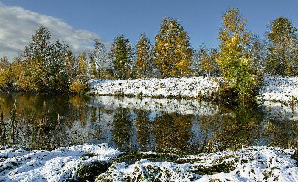 , Николай Морский