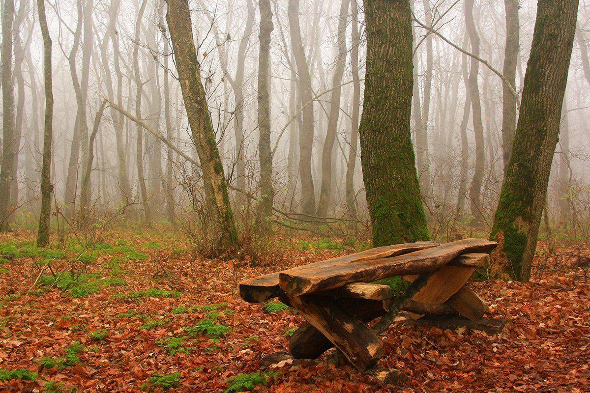 , Михаил  Пилипенко