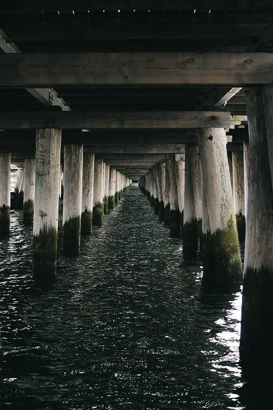 , Дмитрий Тараторкин