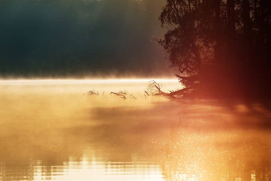 , Rimantas Bikulcius