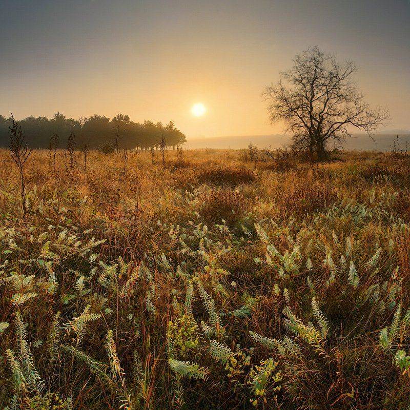 рассвет, Виталий Башкатов