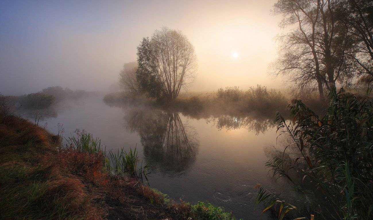 рассвет, утро, река, туман, Михаил Псарёв