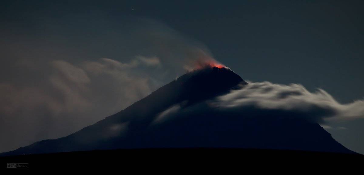 вулкан, кизимен, камчатка, Сергей Краснощёков