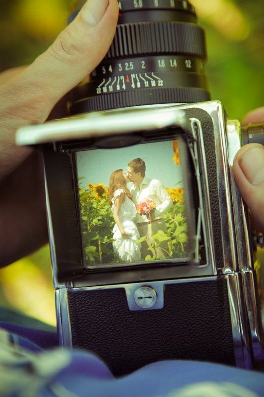 свадьба, портрет, подсолнухи, салют ... фото превью