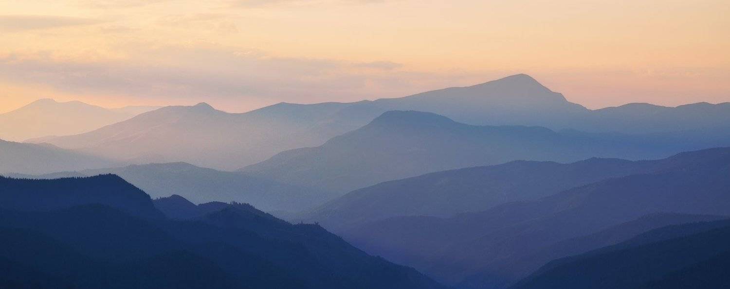 , Денис Кривой