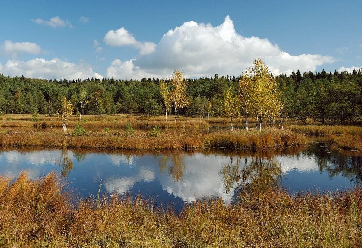 , Сергей Седов