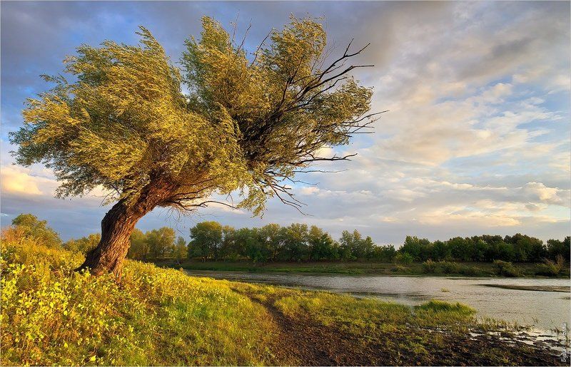 Наперекор ветрам... фото превью