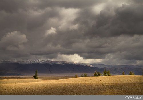 Алтай, Курайская степь.