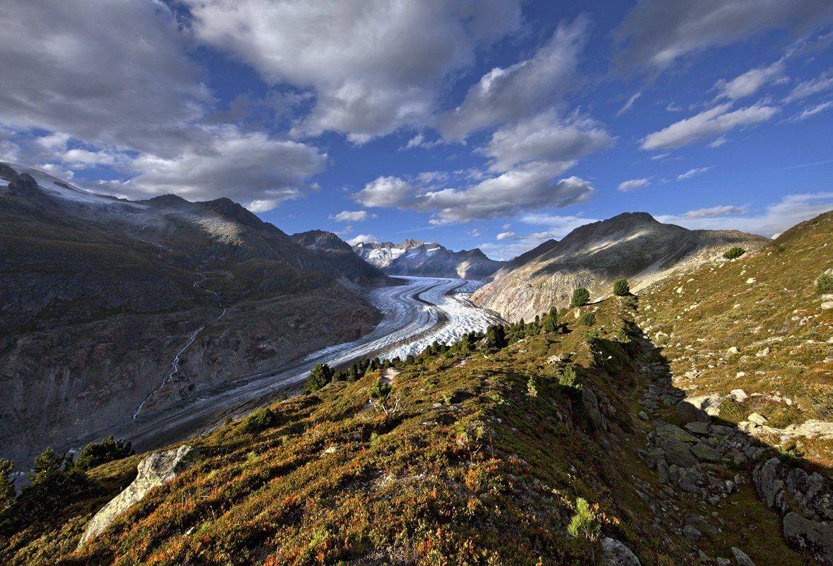 swiss, Матвеев Николай