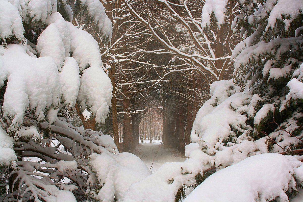 , Михаил  Пилипенко