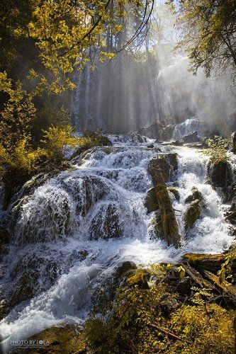 радужная осень