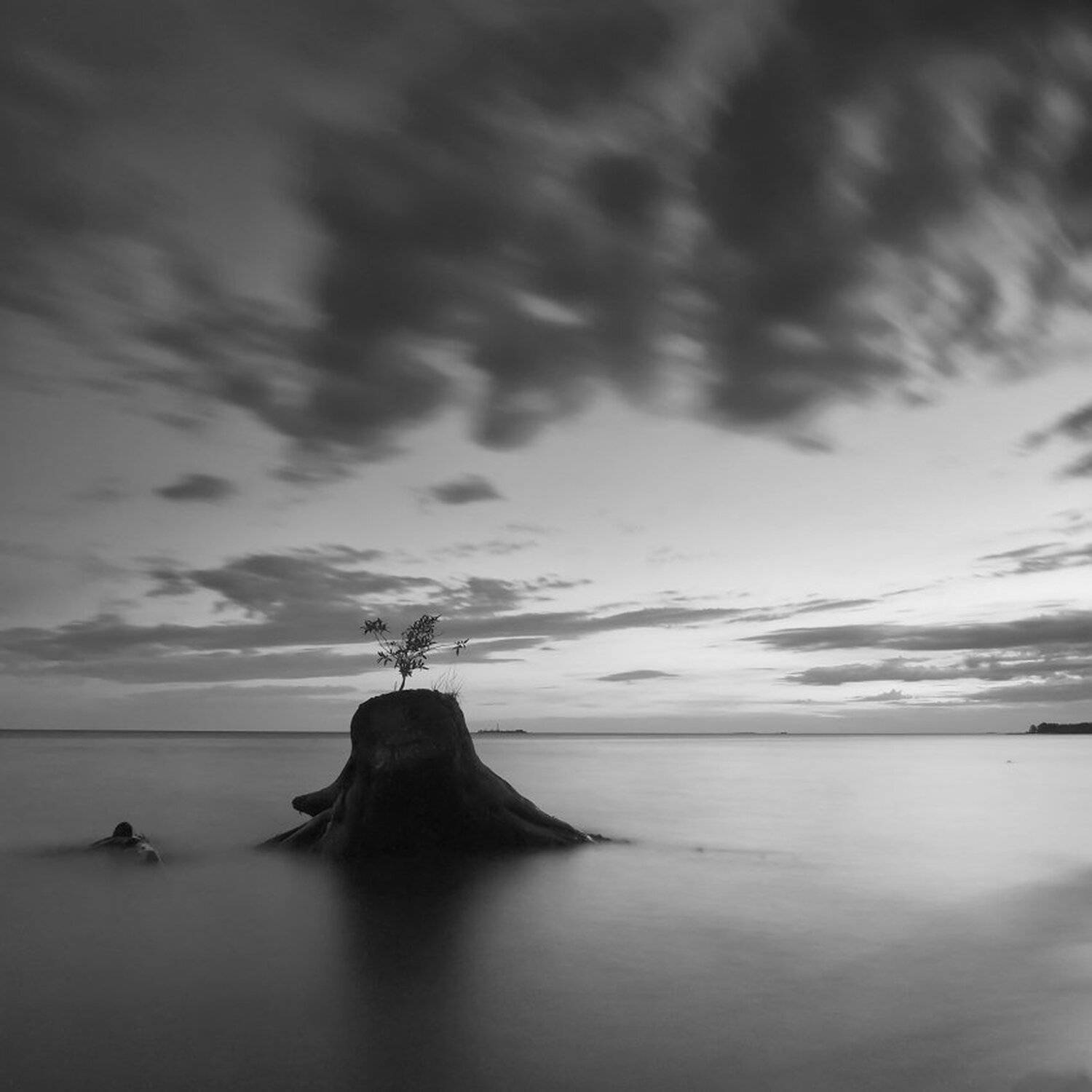 , Максим Евдокимов